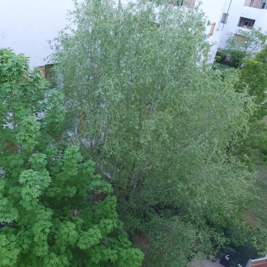 Appartement JoliT3 avec Clim NETFLIX et PRIME à Givors Extérieur photo